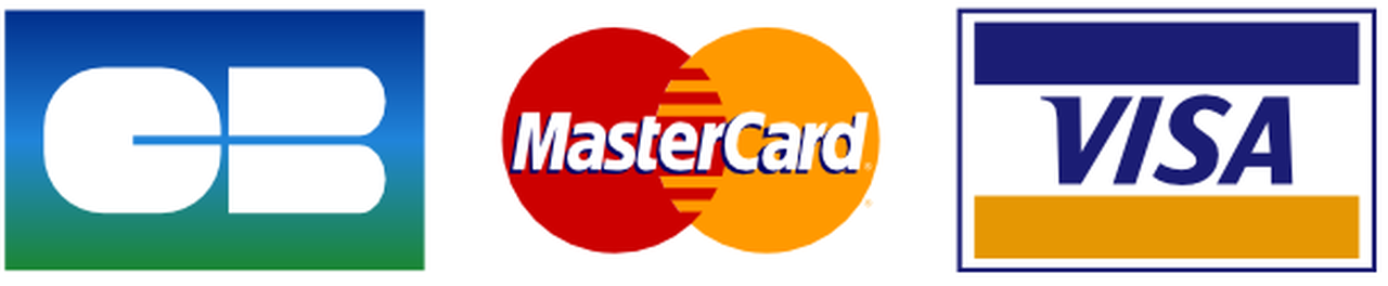 Logos Carte Bleue, MasterCard und Visa