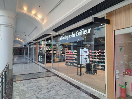 LE MANS LES JACOBINS