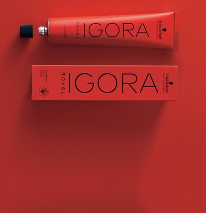 1 Igora Royal kaufen = 30 % Rabatt auf 1 Maske oder 1 Shampoo von BC*