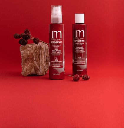 20 % Rabatt beim Kauf von einem Shampoo und einer Pflege von Patrice Mulato*