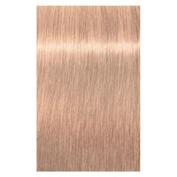 Igora Royal Highlifts 12-46 Spezialblond Beige Schokolade