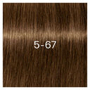 5-67 Hellkastanienbraun Schokolade Kupfer