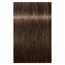 6-46 Dunkelblond Beige Schoko