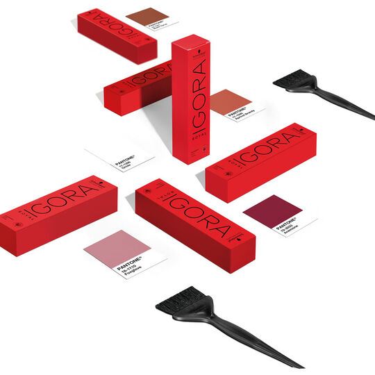 Igora Royal Highlifts 5-7 Hellkastanienbraun Kupfer