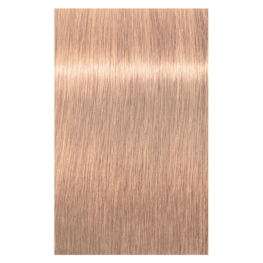 Igora Royal Highlifts 12-46 Spezialblond Beige Schokolade