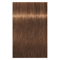 Igora Royal Highlifts 7-55 Blond Extra Gold