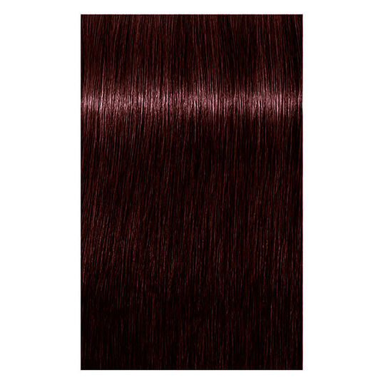 Igora Royal Highlifts 5-819 Hellbraun nacht rot-asch violett
