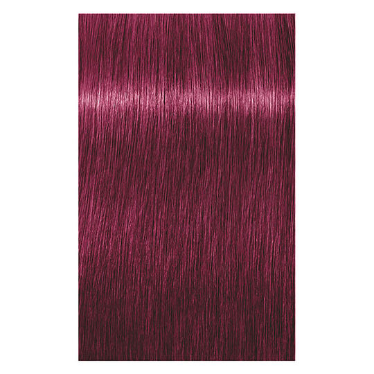 Igora Royal Highlifts 9-98 Sehrhellblond Violett Rot