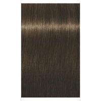 Igora Royal Highlifts 5-4 Hellkastanienbraun Beige