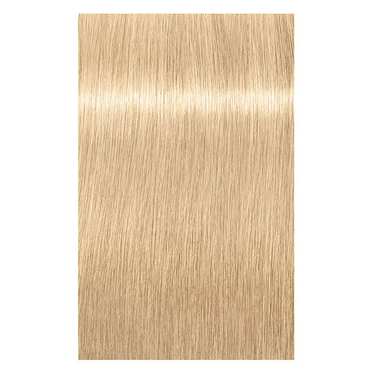 Igora Royal Highlifts 12-4 Spezialblond Beige