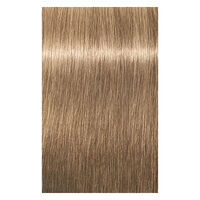 Igora Royal Highlifts 8-0 Hellblond Natur