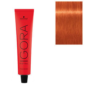 Nuancenreiche Farbt&ouml;ne Mix Igora Royal