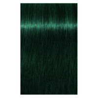 Nuancenreiche Farbt&ouml;ne Mix Igora Royal