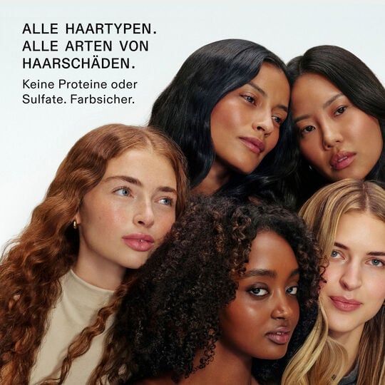 Komplette Reparaturbehandlung Nr. 3 plus