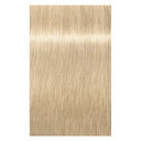 12-1 Spezialblond Asch
