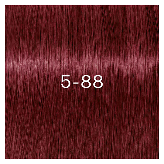 Igora Zero Amm Haarfarbe 5-88 Hellbraun extra rot