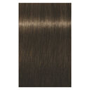 5-4 Hellkastanienbraun Beige
