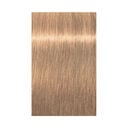 10-46 Sehr Sehr Hellblond Beige Schokolade