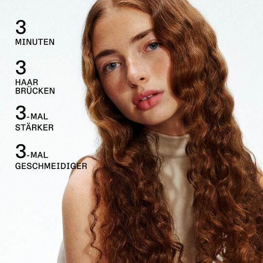 Komplette Reparaturbehandlung Nr. 3 plus