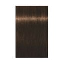 4-5 Kastanienbraun Gold