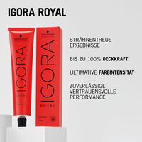Nuancenreiche Farbt&ouml;ne Mix Igora Royal
