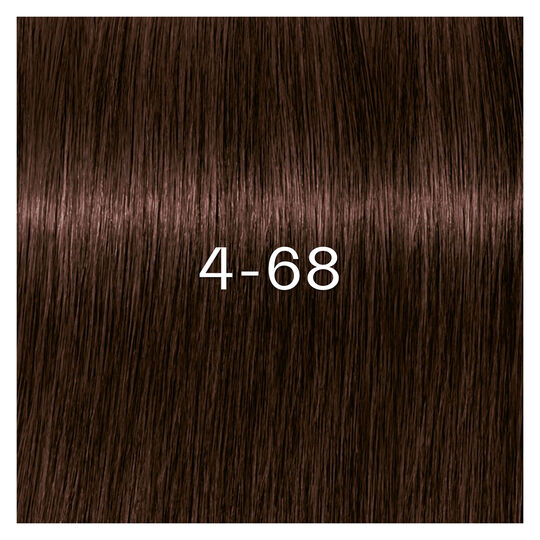 Igora Zero Amm Haarfarbe 4-68 Schoko-Rot Kastanienbraun