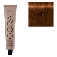 Igora Royal Absolutes 6-60