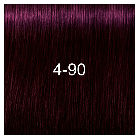 Igora Royal Absolutes 4-90