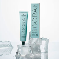 Permanente Haarfarbe Igora Royal 12-4 Spezialblond Beige