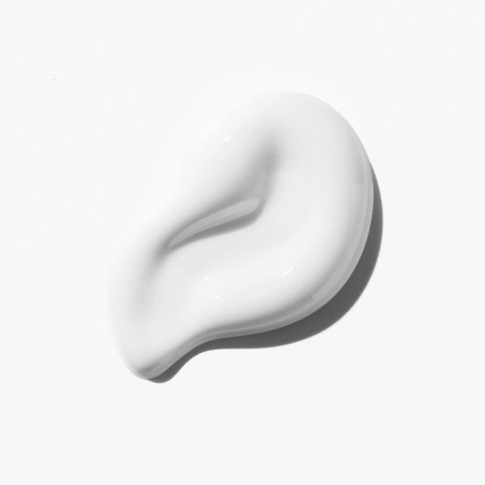 Curl Manifesto Tagescreme