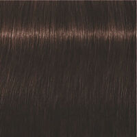 Igora Expert Mousse