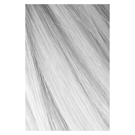 Hair Color Meisterwerk Nr&deg;0.00