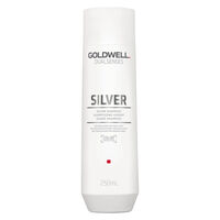 Silber Shampoo
