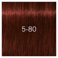 Igora Royal Absolutes 5-80