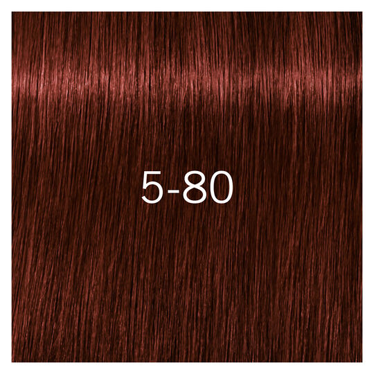 Igora Royal Absolutes 5-80