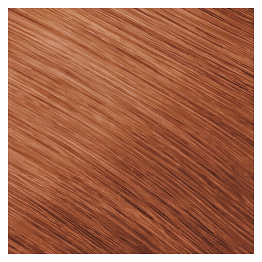 Permanente Coloration Topchic 8KG