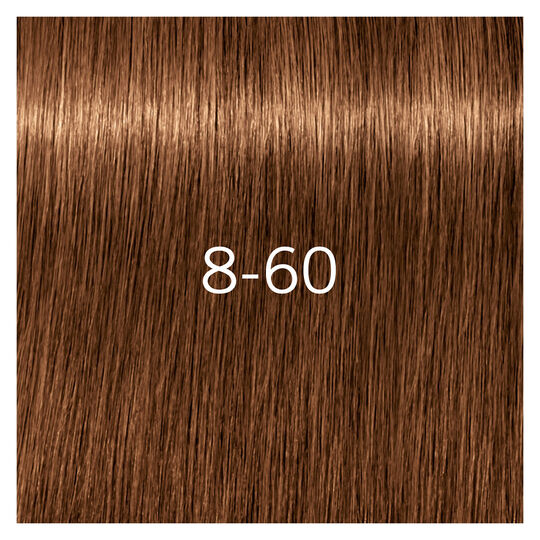 Igora Royal Absolutes 8-60
