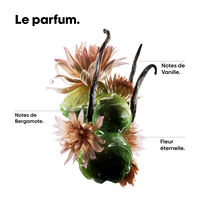 Reparierendes Shampoo Absolut Repair Molecular