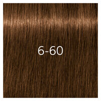 Igora Royal Absolutes 6-60