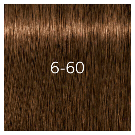 Igora Royal Absolutes 6-60