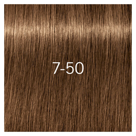 Igora Royal Absolutes 7-50