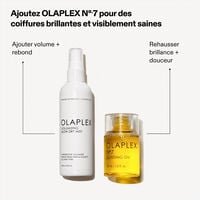 Volumengebendes und sch&uuml;tzendes Spray