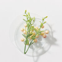 Leichtes Balsamspray f&uuml;r feines bis normales blondes Haar von Blondme