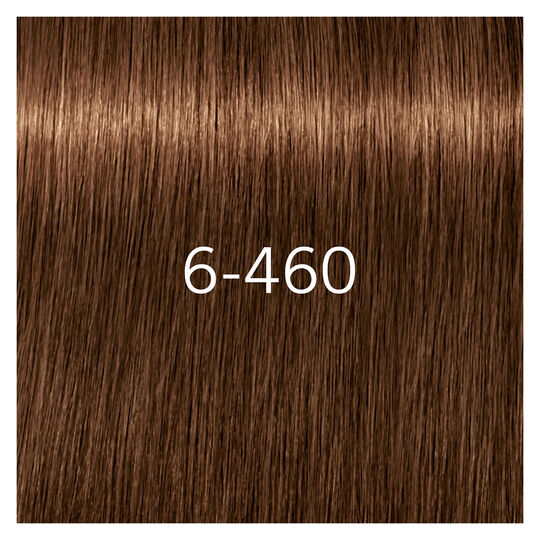 Igora Royal Absolutes 6-460