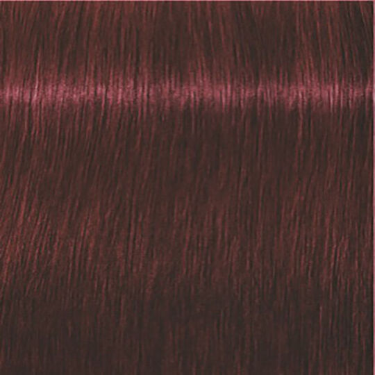 Igora Expert Mousse
