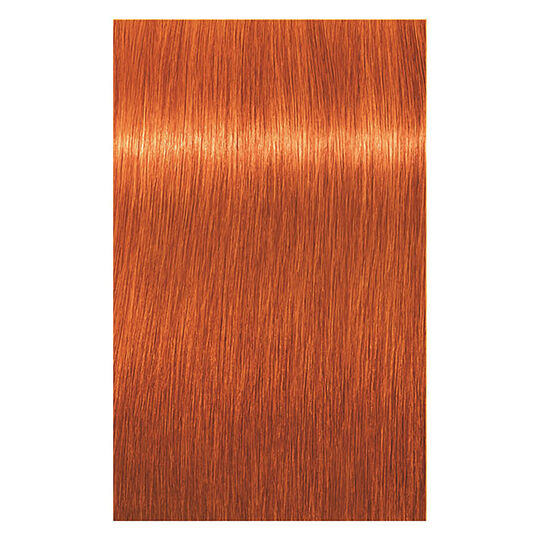 Permanente Haarfarbe Igora Royal 8-77 Hellblond Extra Kupfer