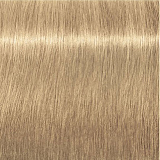 Igora Expert Mousse