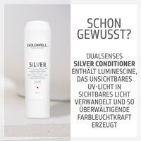 Silver Conditioner