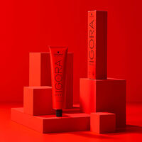 Igora Royal Highlifts 5-4 Hellkastanienbraun Beige