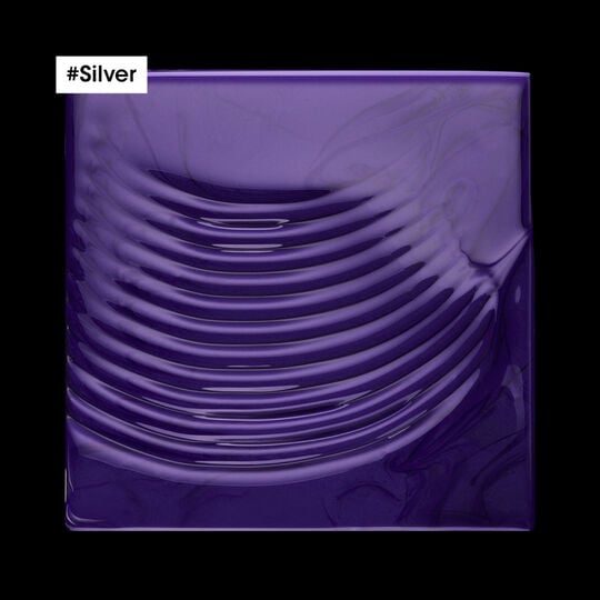 Entgelbendes Shampoo Silver